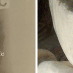 Copy of Expositions (2)